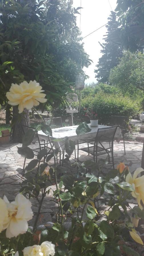 Panos&Chrisas House Drepano (Argolis) Exterior foto