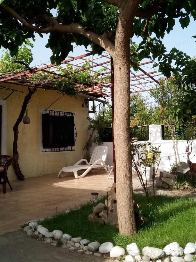 Panos&Chrisas House Drepano (Argolis) Exterior foto
