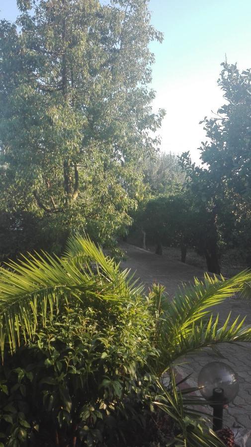Panos&Chrisas House Drepano (Argolis) Exterior foto