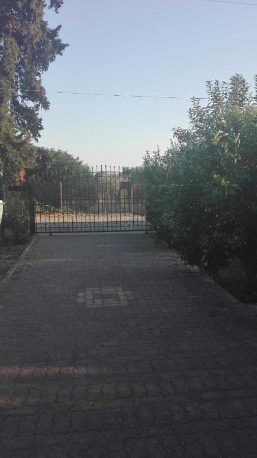 Panos&Chrisas House Drepano (Argolis) Exterior foto